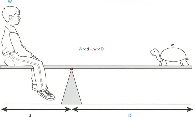 رسم توضيحي لخلل وظيفة الذراع الرافعة