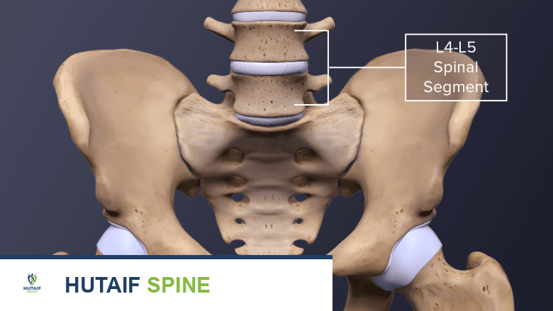 كل ما تحتاج معرفته عن فقرات L4-L5: التشريح، المشاكل، والعلاج مع الأستاذ الدكتور محمد هطيف