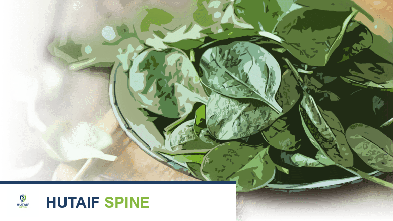 وعاء من أوراق السبانخ الطازجة.