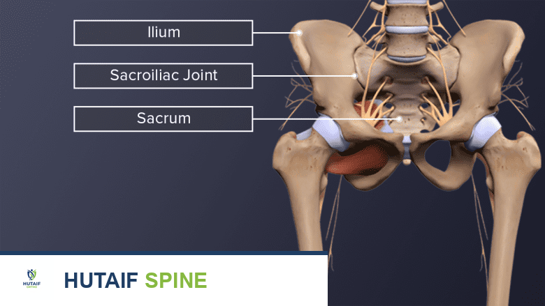 رسم توضيحي لتشريح المفصل العجزي الحرقفي في الحوض