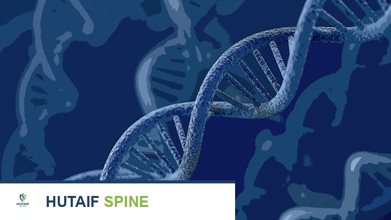 An illustration showing DNA strand.
