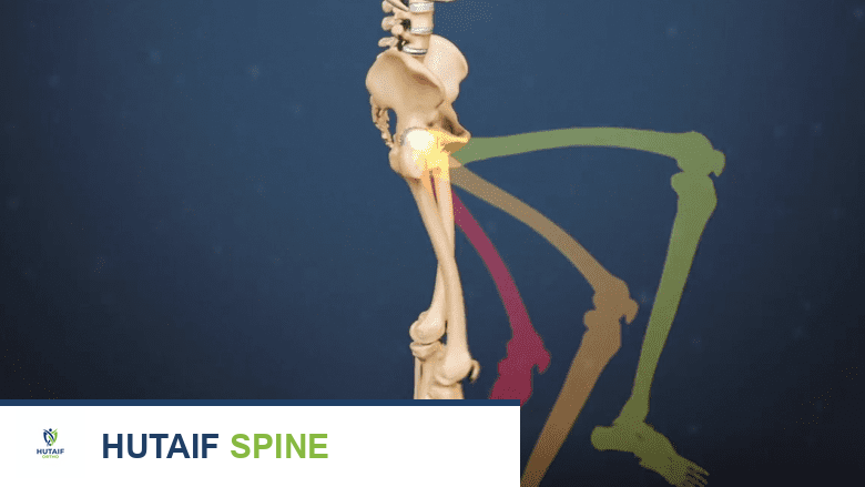 Illustration showing range of motion in the leg.