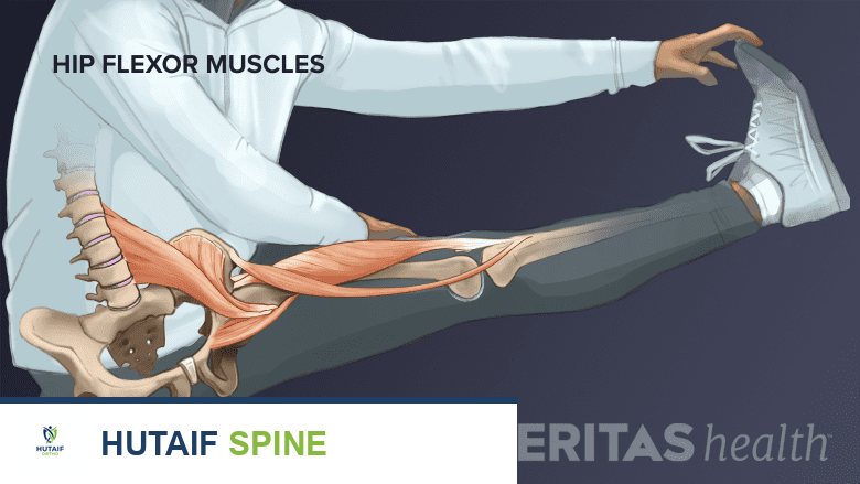 صورة توضيحية لـ التمارين والعلاج الطبيعي لآلام مفصل الحوض العجزي: دليل شامل من الأستاذ الدكتور محمد هطيف