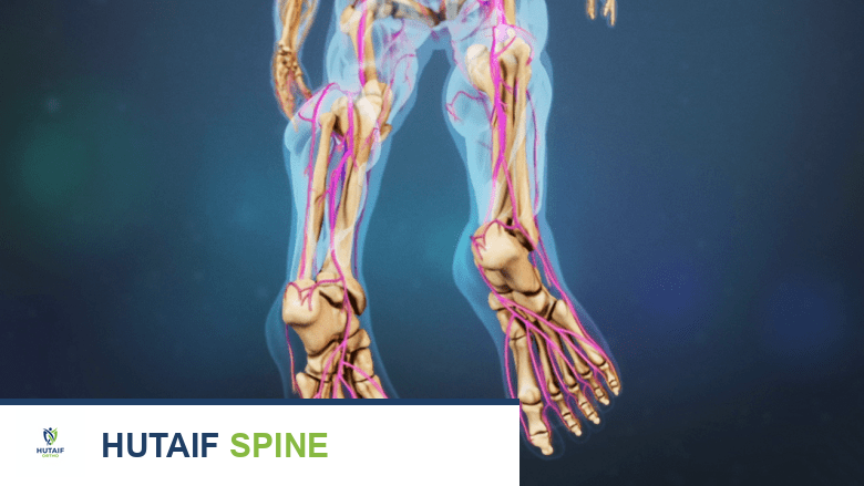 Illustration showing both the feet and calf highlighted in pink.