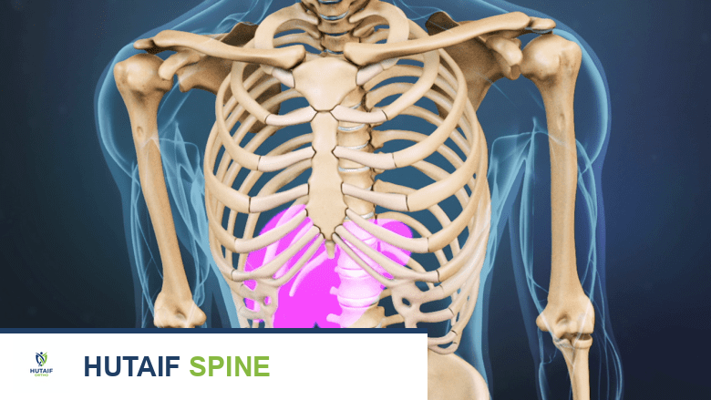 صورة طبية: ألم أسفل الظهر الأيمن من الأعضاء الداخلية الأسباب والتشخيص والعلاج