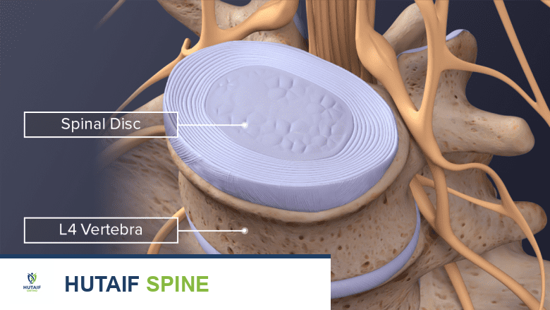 الأقراص القطنية: دليل شامل لوظائفها، مشاكلها، وعلاجها مع الأستاذ الدكتور محمد هطيف
