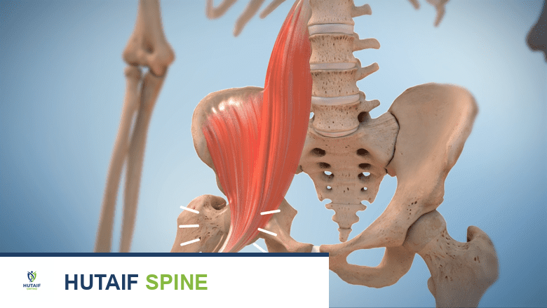 توضيح يظهر الرباط ينفجر على العظم.