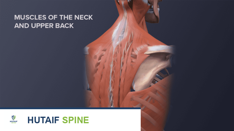 صورة توضيحية لـ تمارين الرقبة لآلام الرقبة: دليل الأستاذ الدكتور محمد هطيف الشامل في صنعاء