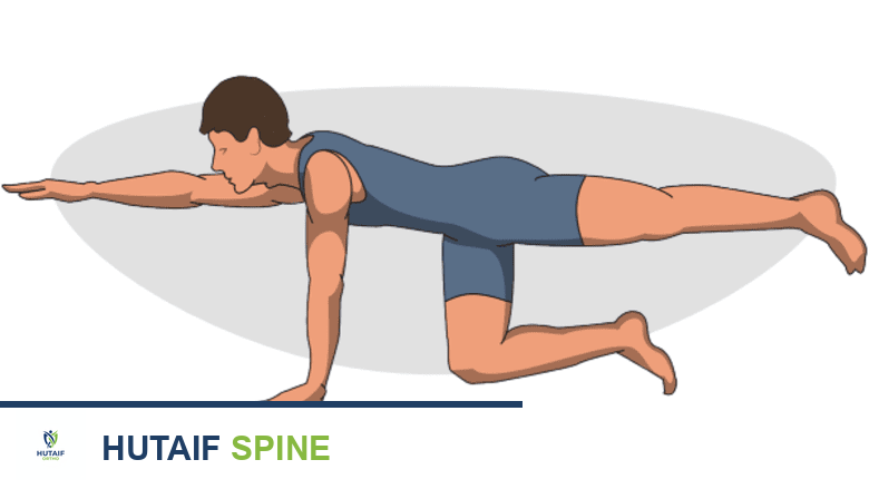 العلاج الطبيعي بعد دمج الفقرات: دليل شامل للأسابيع 6 إلى 9 لتعافٍ مثالي مع الأستاذ الدكتور محمد هطيف