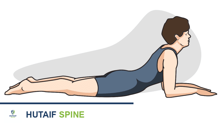 رسم توضيحي يوضح طريقة ماكنزي، حيث يتم التركيز على تحريك الألم الإشعاعي نحو العمود الفقري.