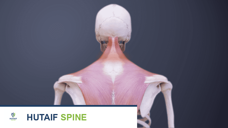 صورة توضيحية لـ الرعاية الشاملة بعد جراحة استبدال القرص الصناعي العنقي: دليل الأستاذ الدكتور محمد هطيف