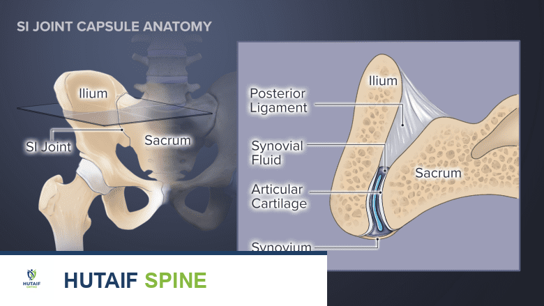 صورة توضيحية لـ تشريح المفصل العجزي الحرقفي: دليلك الشامل من الأستاذ الدكتور محمد هطيف