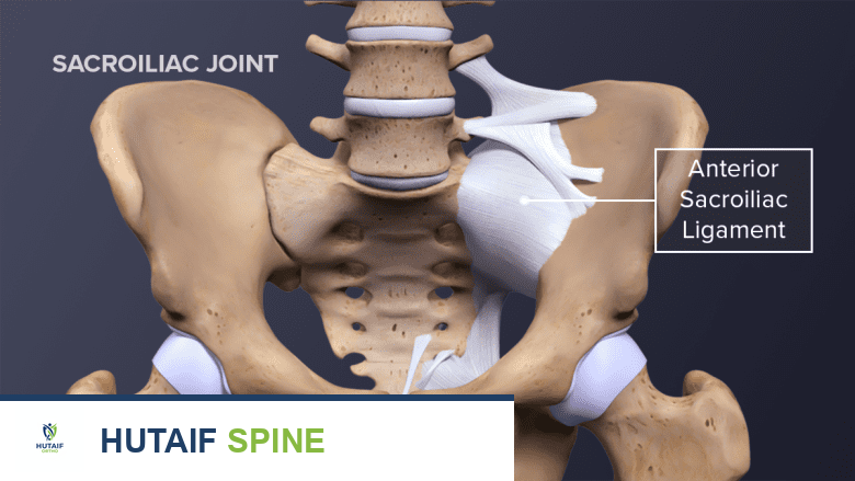 أربطة وعضلات مفصل العجز الحرقفي: دليلك الشامل لصحة واستقرار العمود الفقري والحوض