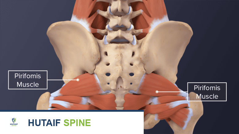 العصعص: تشريحه، وظائفه الحيوية، وأسباب ألمه وعلاجه مع الأستاذ الدكتور محمد هطيف في صنعاء