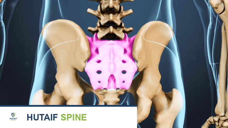 منطقة الحوض مع تسليط الضوء على العجز.