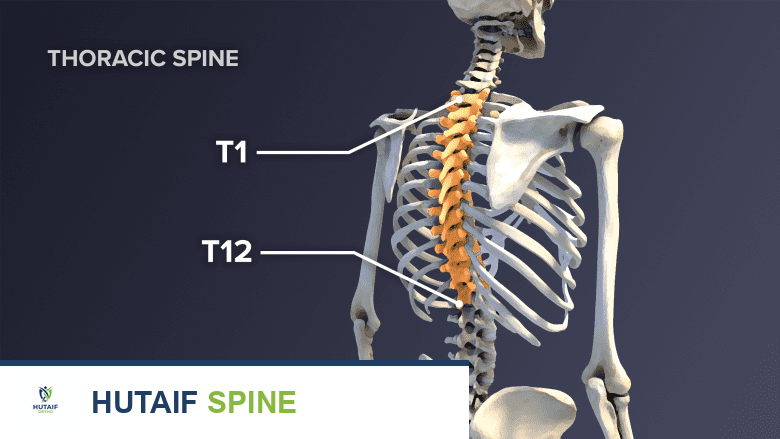 ألم الظهر العلوي والانزلاق الغضروفي الصدري: دليل شامل مع الأستاذ الدكتور محمد هطيف