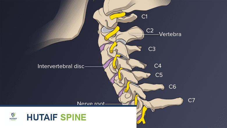 اعتلال الجذور العنقية: دليل شامل للأسباب والأعراض والعلاج مع الأستاذ الدكتور محمد هطيف في صنعاء