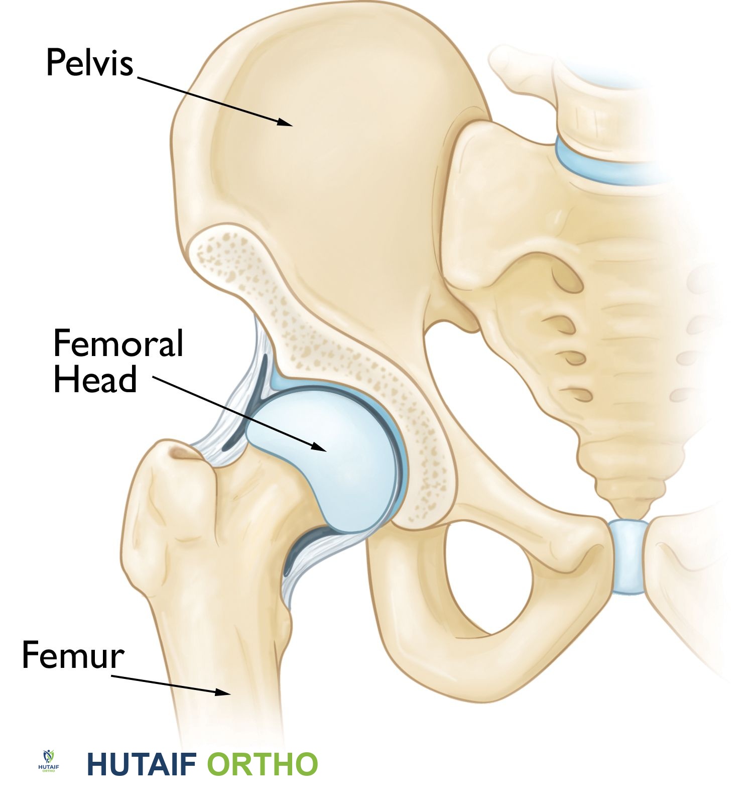 وصف طبي دقيق للمريض