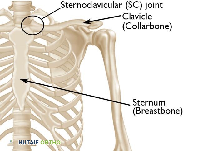 اضطرابات المفصل القصي الترقوي: دليلك الشامل للعلاج والتعافي مع الأستاذ الدكتور محمد هطيف