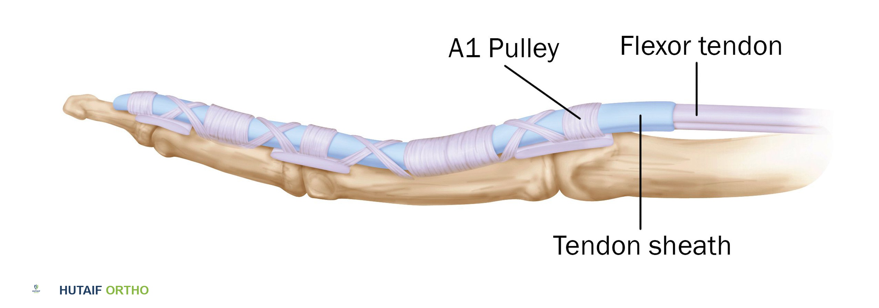 وصف طبي دقيق للمريض