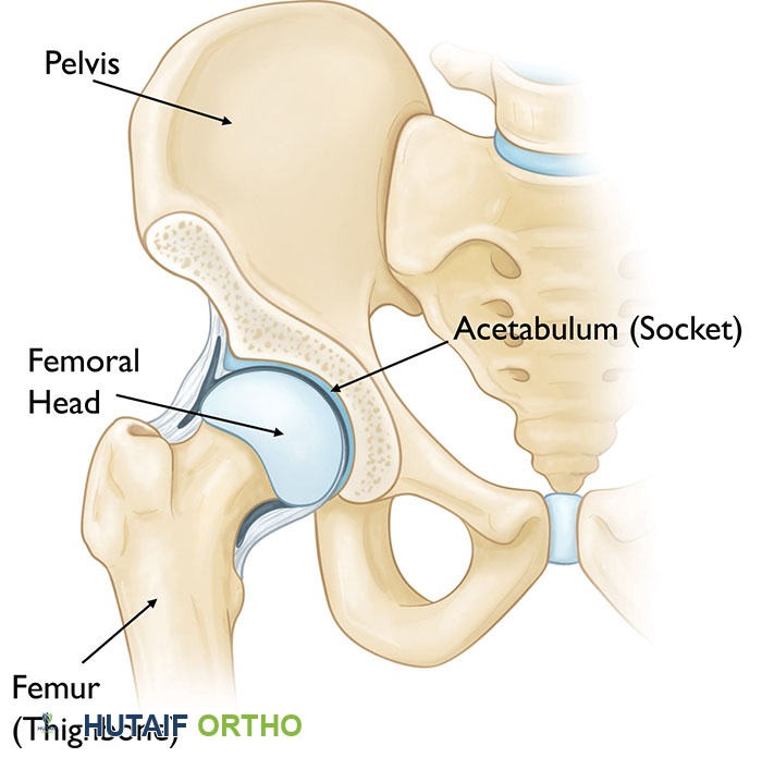 صورة توضيحية لـ كسور الورك: دليل الأستاذ الدكتور محمد هطيف الشامل للتشخيص والعلاج في صنعاء