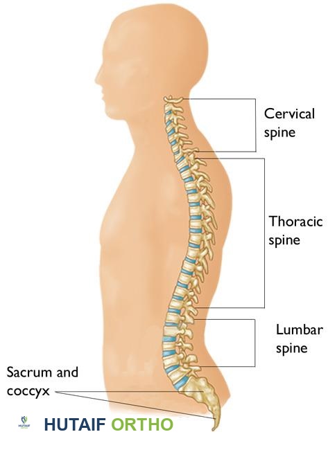 صورة توضيحية لـ الاعتلال الجذري العنقي (انضغاط العصب في الرقبة): دليل شامل من الأستاذ الدكتور محمد هطيف