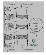 Orthopedic Prometric MCQs - Chapter 3 Part 26