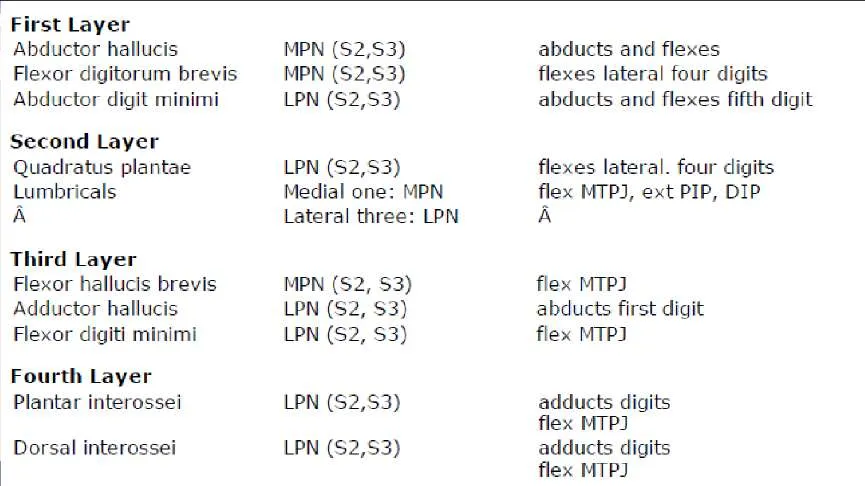 Orthopedic Prometric Exam Question