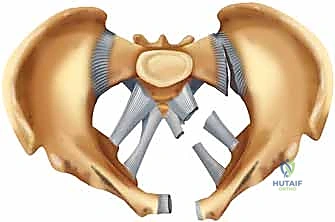 التثبيت الخارجي للحوض: دليل شامل للمرضى مع الأستاذ الدكتور محمد هطيف في صنعاء