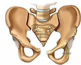 التشخيص الدقيق لكسور الحوض