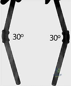 الأعصاب والأوعية الدموية في ساعد الطفل