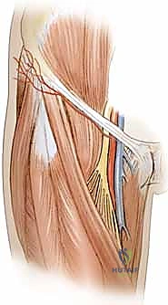 تخطيط الجراحة ورسم السديلة