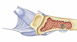 جلسات العلاج الطبيعي المخصصة لليد