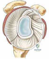 جراحة تنظير المفصل لترميم الكتف وعلاج خشونة المفصل الكتفي العضدي: دليل شامل للمرضى