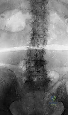 Illustration of include the following - Dr. Mohammed Hutaif