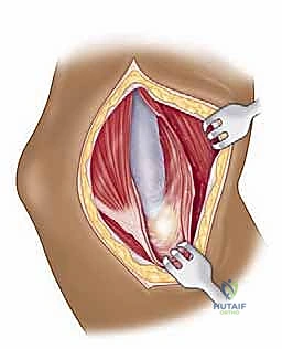 النهج الدالي الصدري