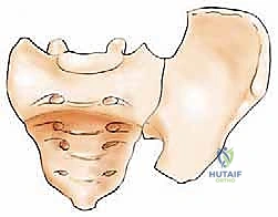صورة طبية: جراحة أورام العظام النقيلية في الحوض: دليل شامل للمرضى مع الأستاذ الدكتور محمد هطيف