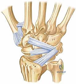 تضميد اليد والرسغ