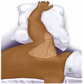 تشريح لوح الكتف