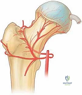 إدخال المنظار ورؤية المفصل من الداخل