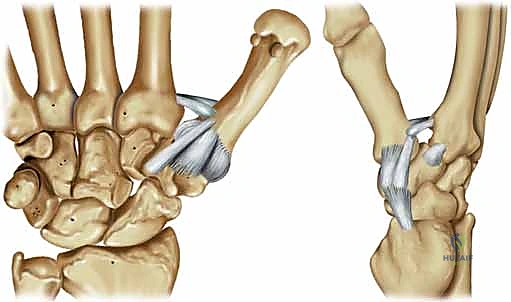 وصف طبي دقيق للمريض