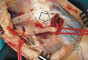 وصف طبي دقيق للمريض
