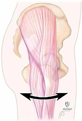 الأعراض السريرية لمتلازمة الورك