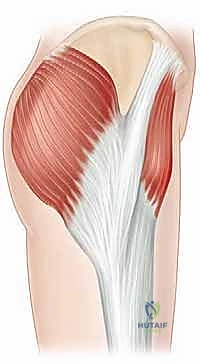 صورة طبية: إدارة متلازمة الورك الطاطئ بالمنظار دليل شامل للمرضى مع الأستاذ الدكتور محمد هطيف