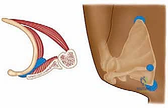 وصف طبي دقيق للمريض