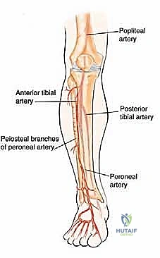 تخطيط جراحي دقيق في عمليات ترقيع العظام المعقدة مع الأستاذ الدكتور محمد هطيف