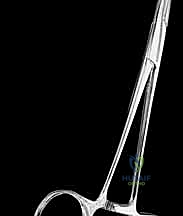 صورة طبية: دليلك الشامل لعلاج نقص عظم الفخذ الخلقي: خبرة الأستاذ الدكتور محمد هطيف في صنعاء