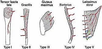 الأسباب وعوامل الخطر المرتبطة بساركوما الأنسجة الرخوة