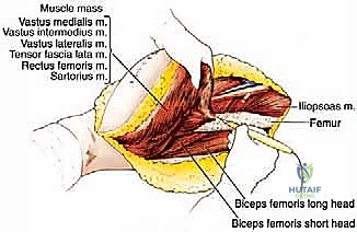الخطة العلاجية الشاملة متعددة التخصصات