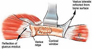 فحص الأنسجة تحت المجهر